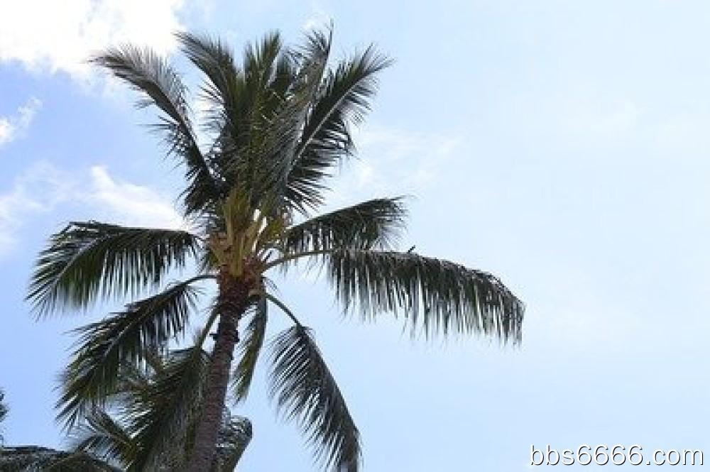 分享优惠券、做网络调查问卷员、写文章赚钱等多种副业方式介绍